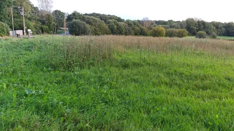 Terrain à CHATELAUDREN