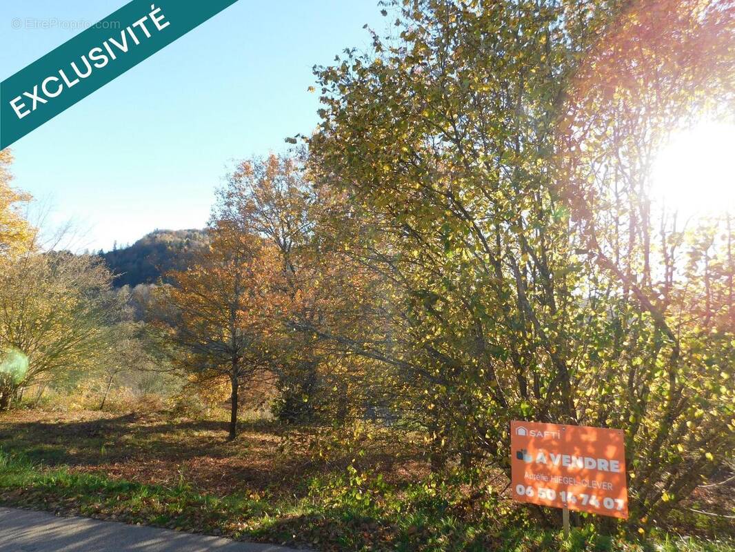 Photo 1 - Terrain à SENONES