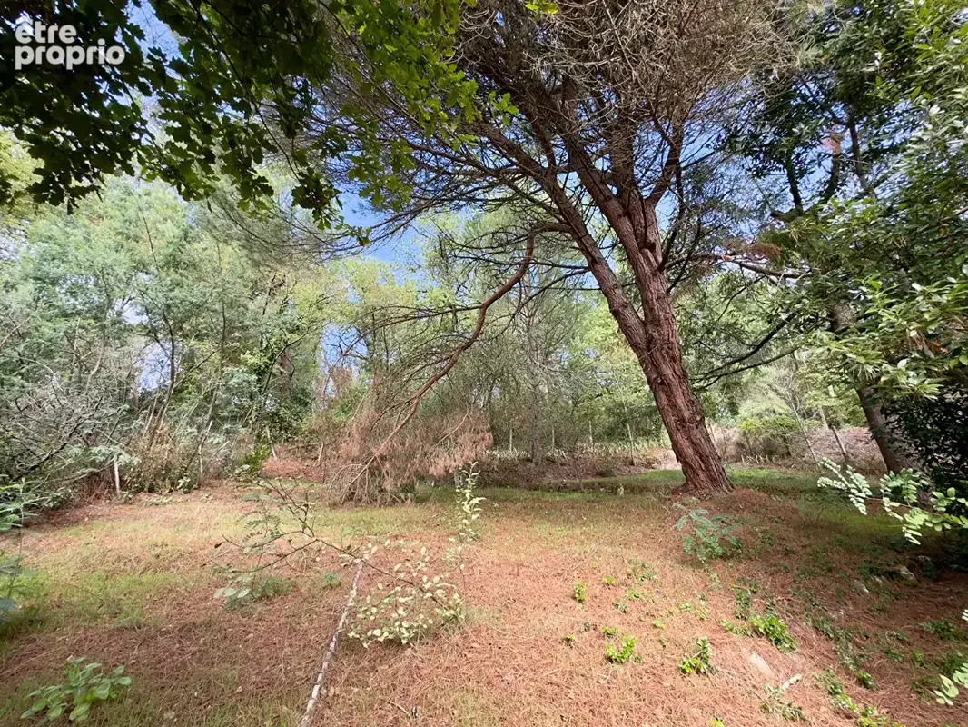 Maison 4 pièces Brive-La-Gaillarde ! - photo 12