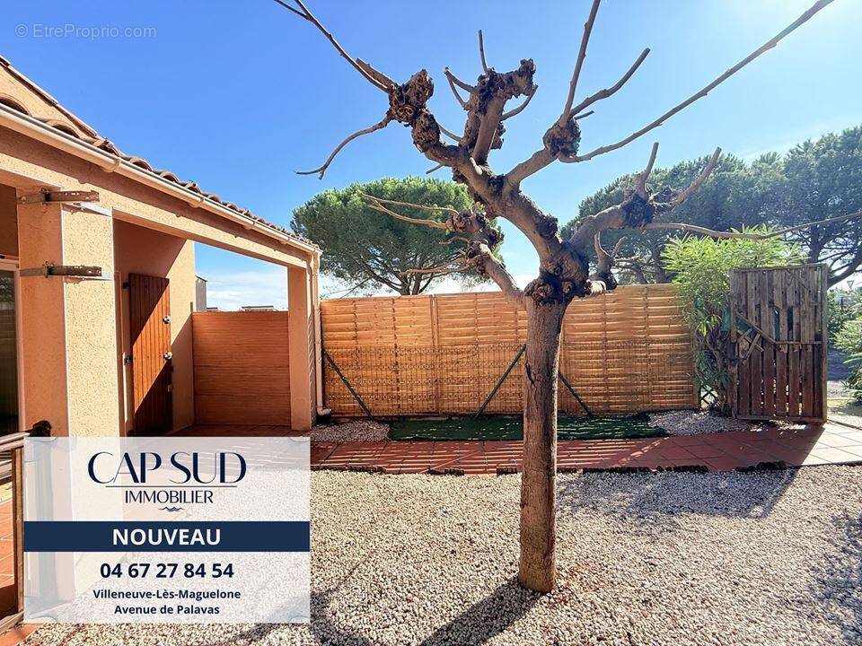 Maison à VILLENEUVE-LES-MAGUELONE