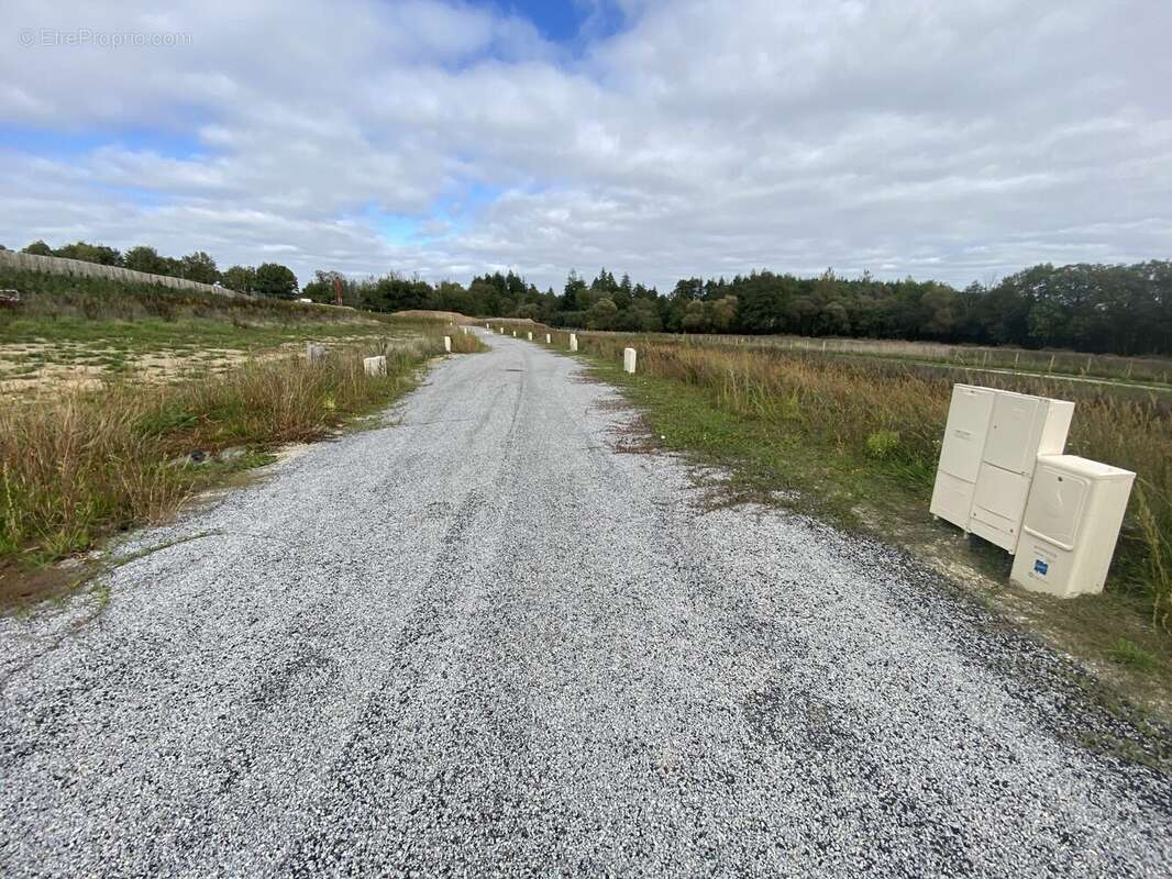 Terrain à LANGUIDIC