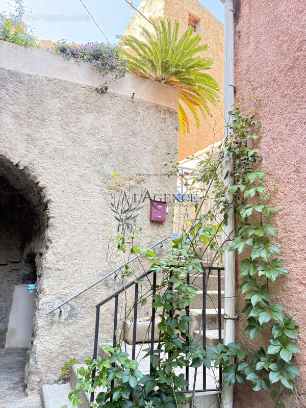 Appartement duplex - palmentu - santa reparata di balagna - photo 2