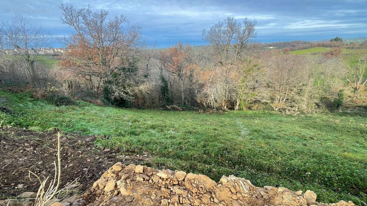 Terrain à SAINT-MEDARD-EN-FOREZ