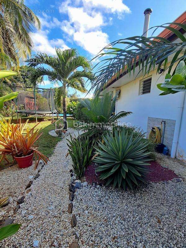 Maison à REMIRE-MONTJOLY