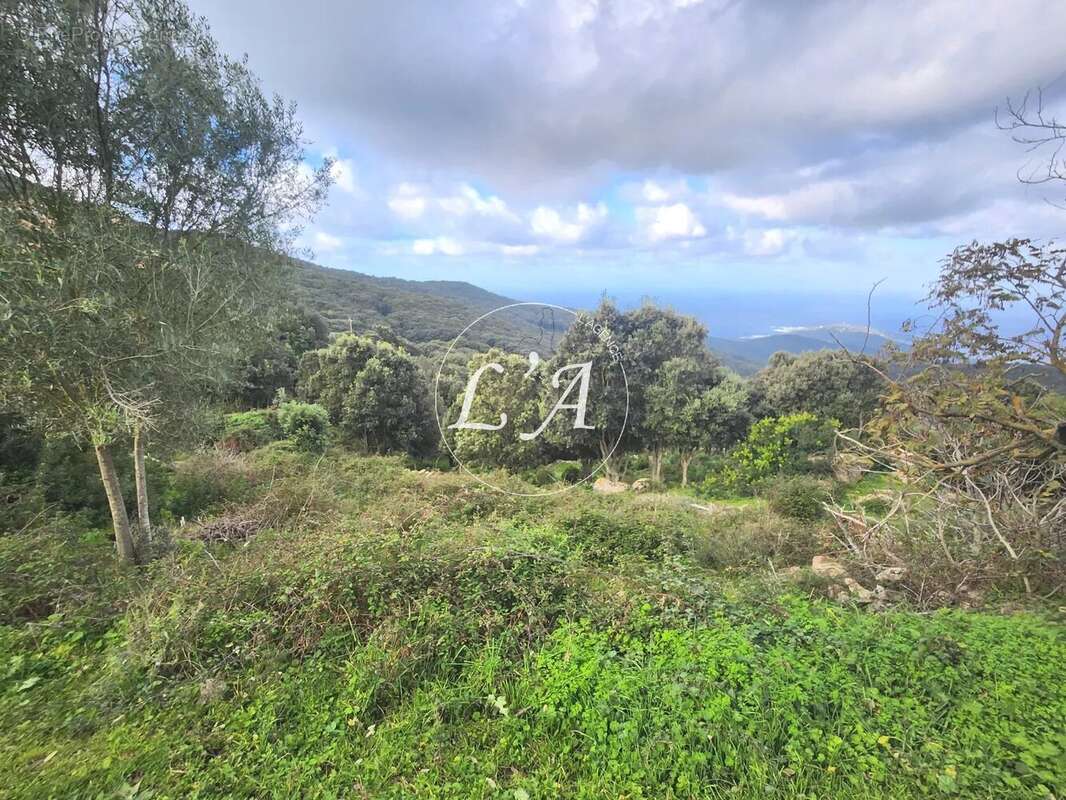 Terrain à COTI-CHIAVARI