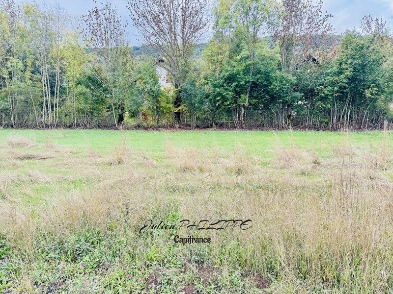 Terrain à CHABOTTES