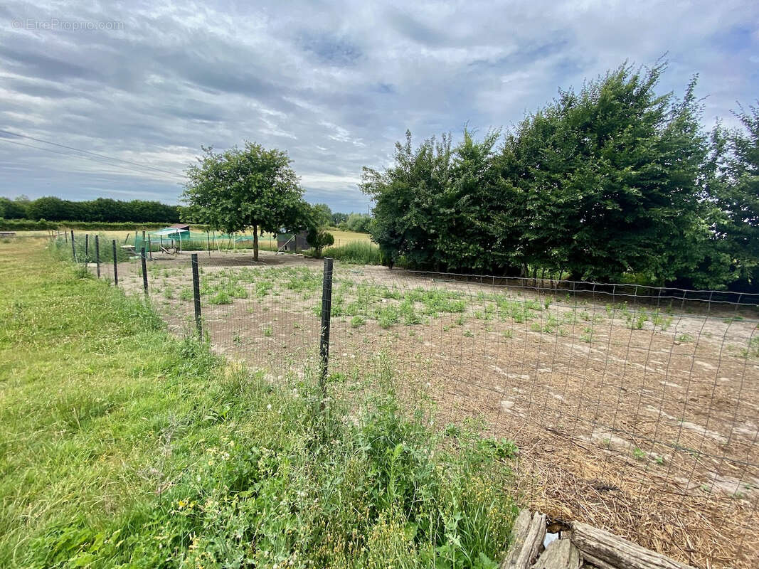 Maison à AVESNES-SUR-HELPE