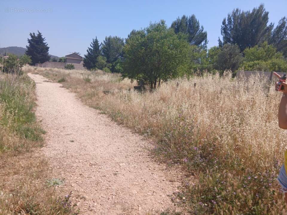 Terrain à CUERS