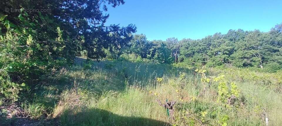Terrain à BARJAC