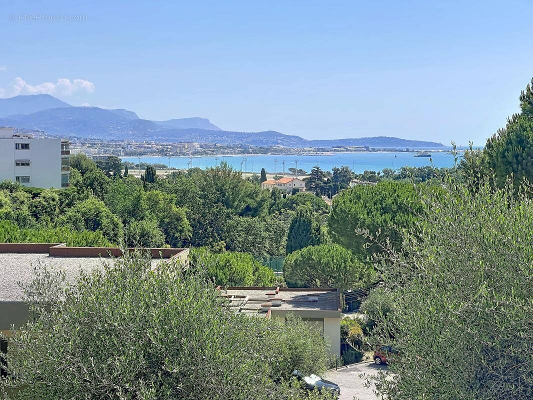 Appartement à VILLENEUVE-LOUBET