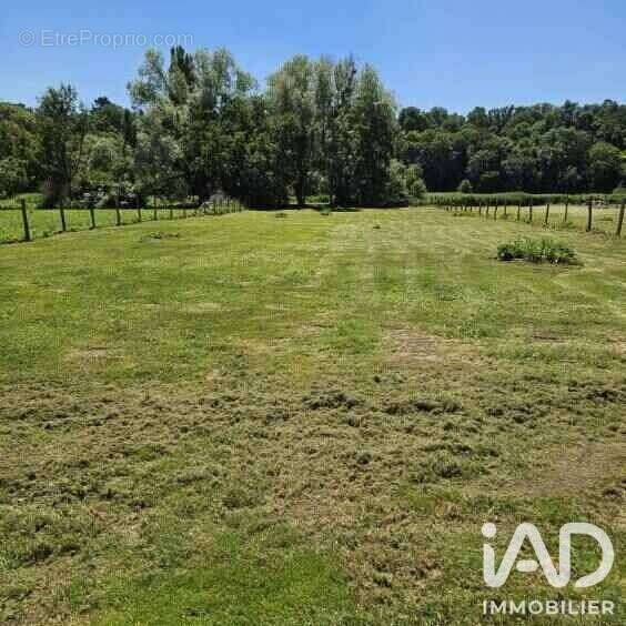Terrain 2000 m² à Chateaudun  - photo 6