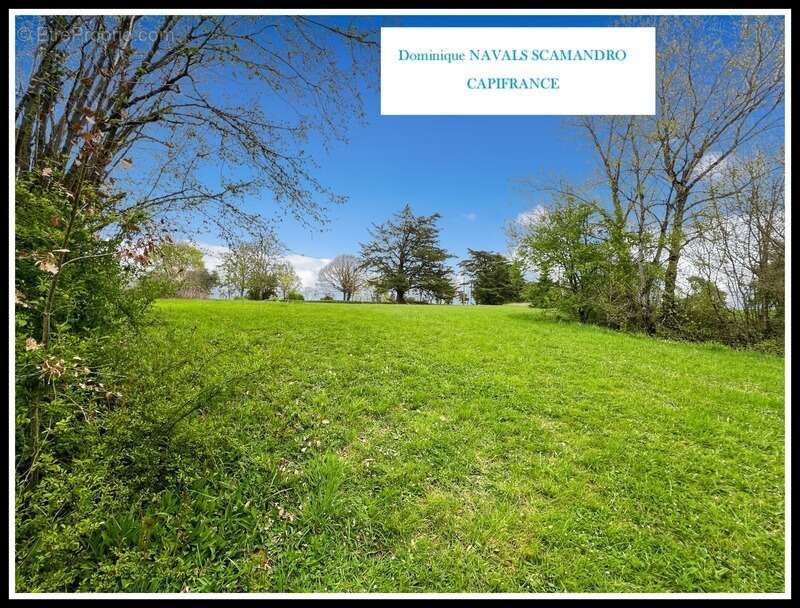 Miramont d'Astarac - Deux habitations, un ancien atelier ferronnier,  1,3 hectare de nature : un domaine rare au cœur de l’Astar - photo 4