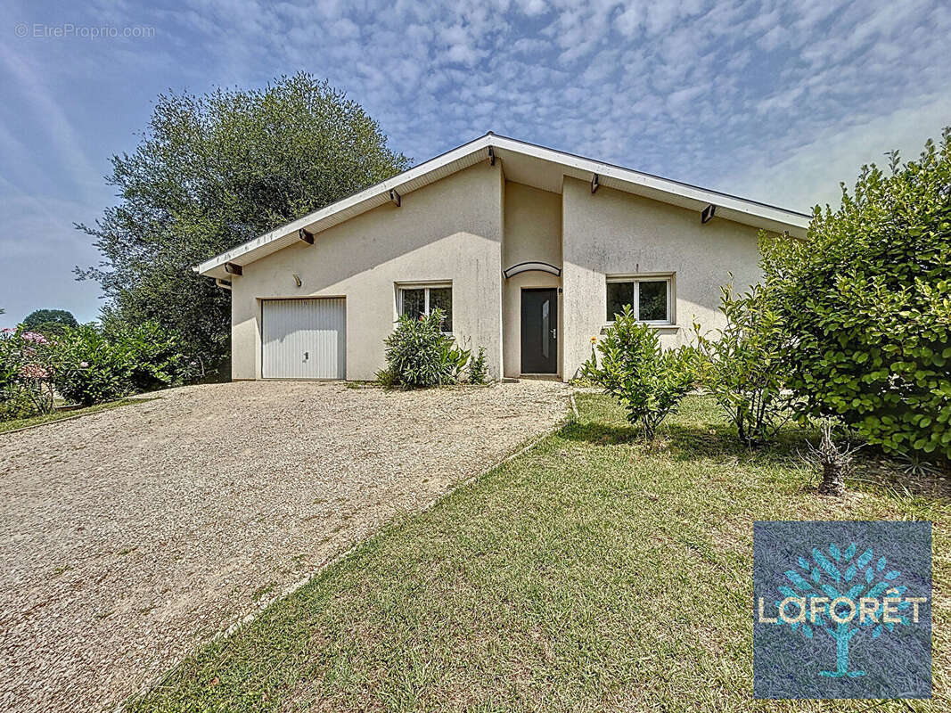 Maison à SAINT-GEOURS-DE-MAREMNE