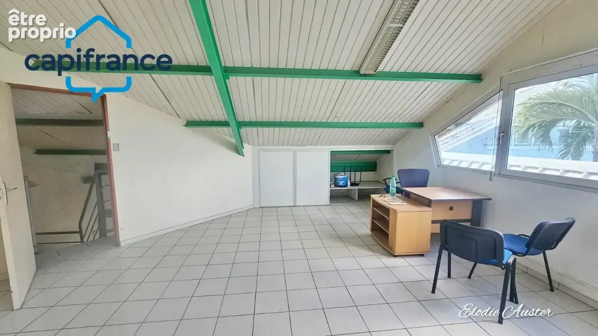 Local professionnel en duplex à Jarry secteur Houelbourg - photo 2