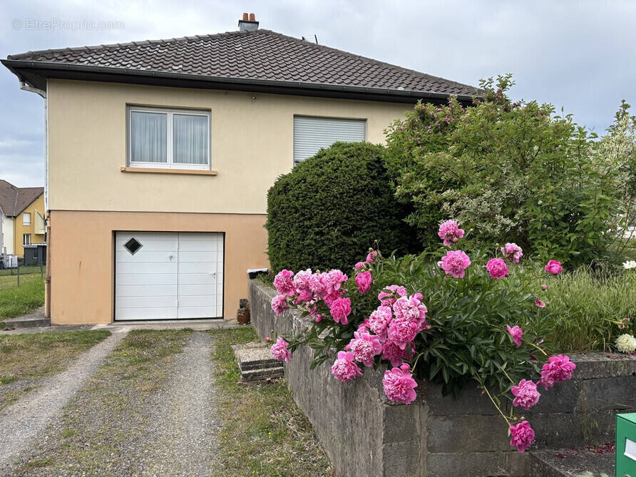 Maison à PHALSBOURG