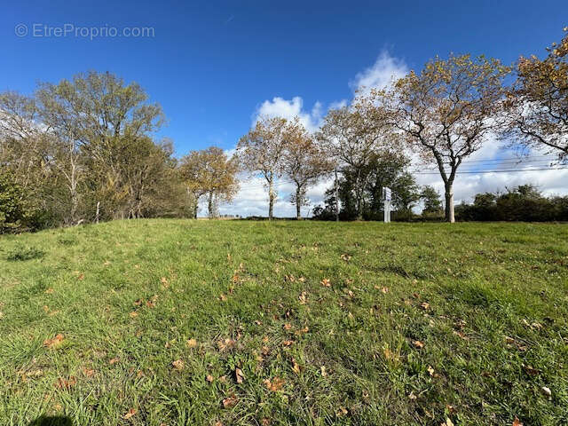 Terrain à VILLEFRANCHE-DE-LAURAGAIS