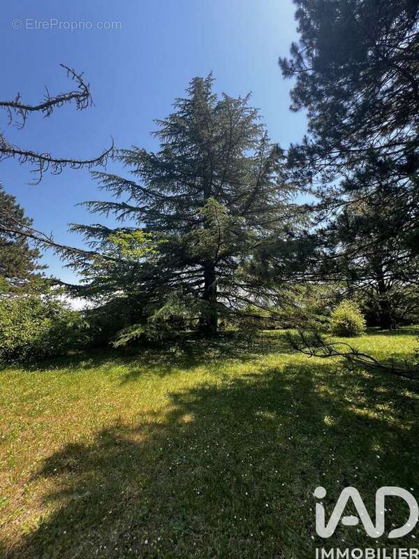 Photo 2 - Terrain à AOUSTE-SUR-SYE