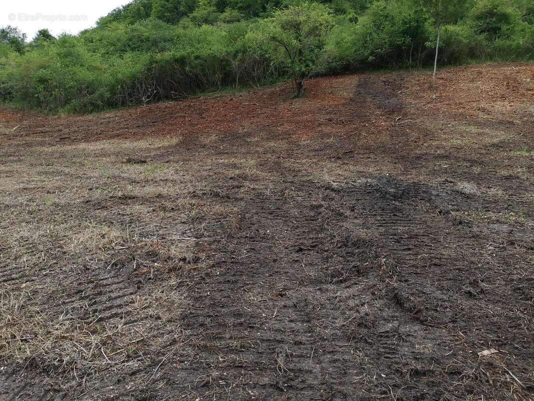 Photo 2 - Terrain à LOUVIERS