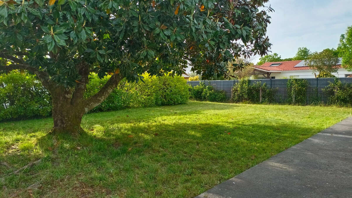 GASTES, opportunité à saisir pour cette maison au calme, à fort potentiel. - photo 3