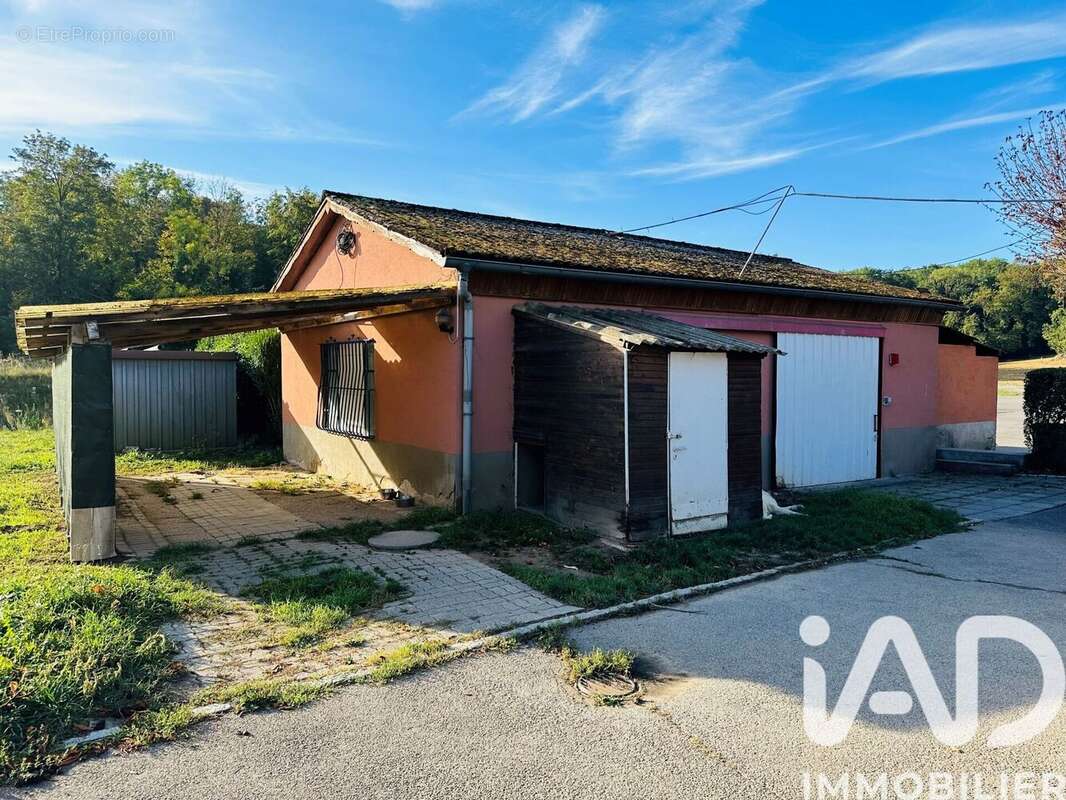 Photo 5 - Appartement à RIXHEIM