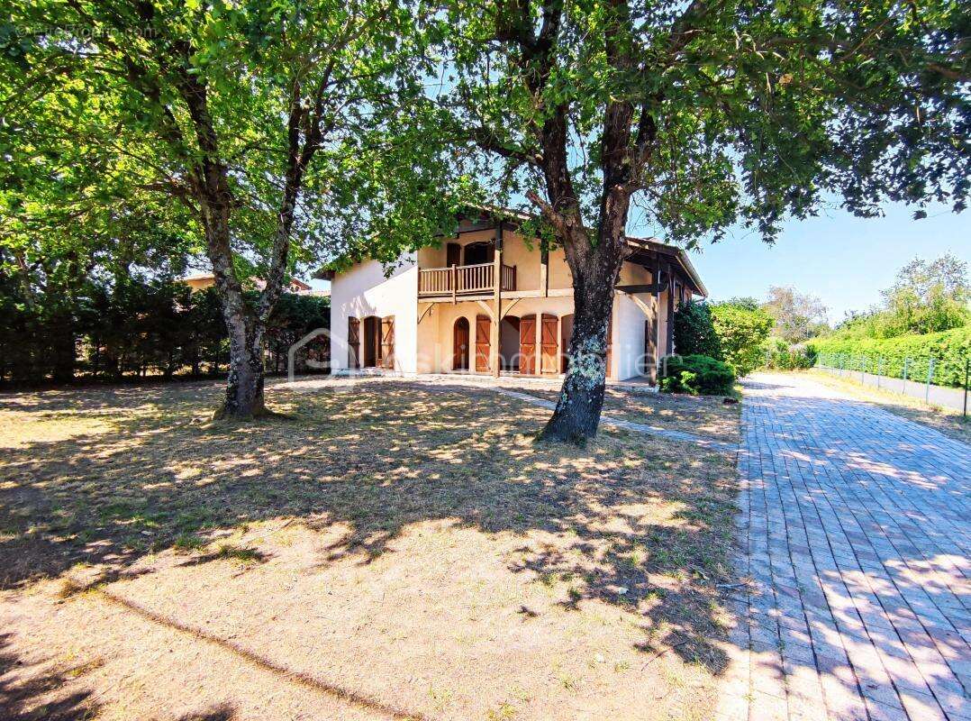 Maison landaise - photo 5