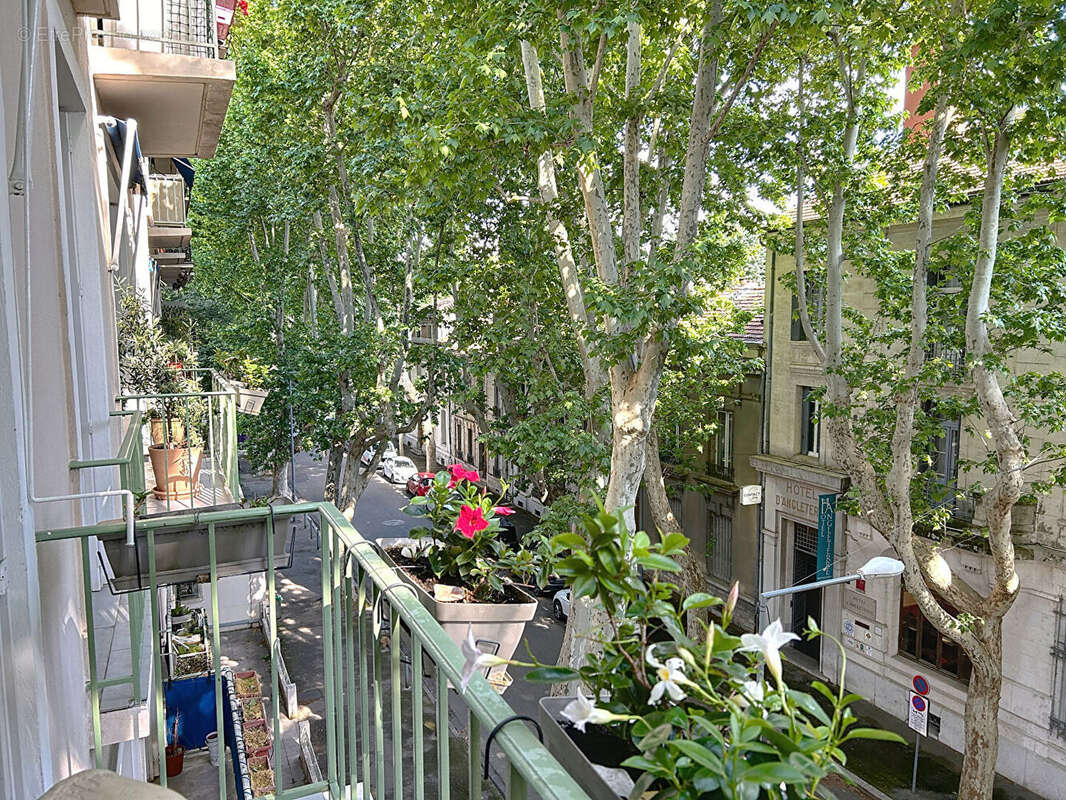 Appartement à AVIGNON