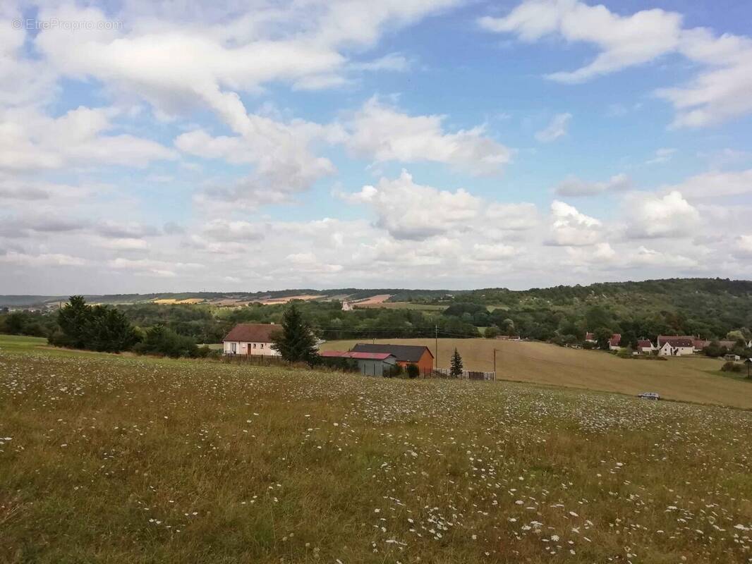 Vue depuis la partie haute du terrain à bâtir - Terrain à TRUCY-SUR-YONNE