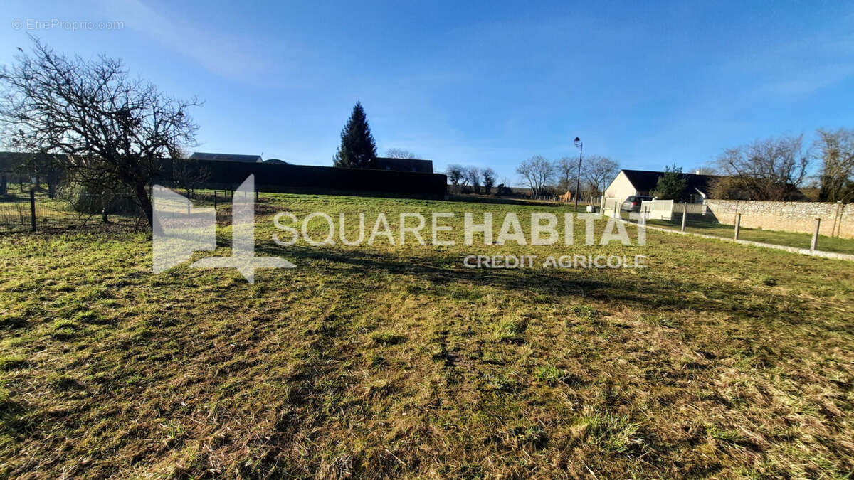 Terrain à TAVANT