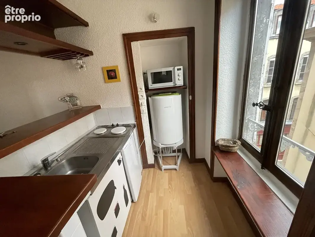PLATEAU CENTRAL : studio vendu avec locataire en place ! - photo 4