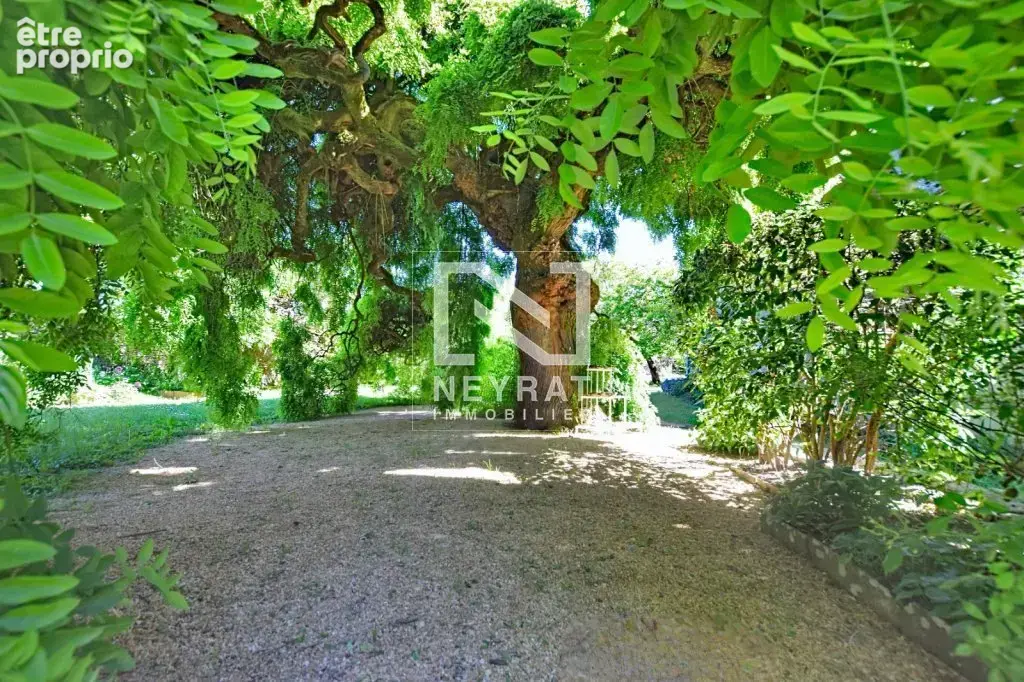 Vente en viager occupe - village de mercurey - photo 7