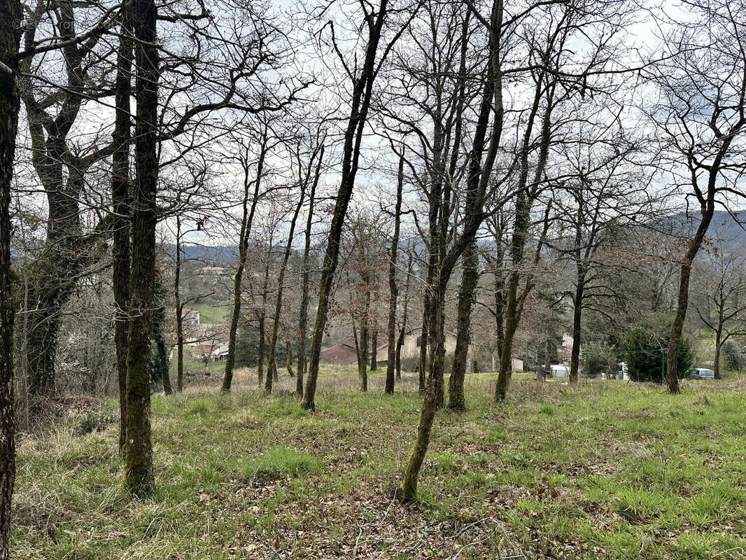 Terrain à LIVINHAC-LE-HAUT