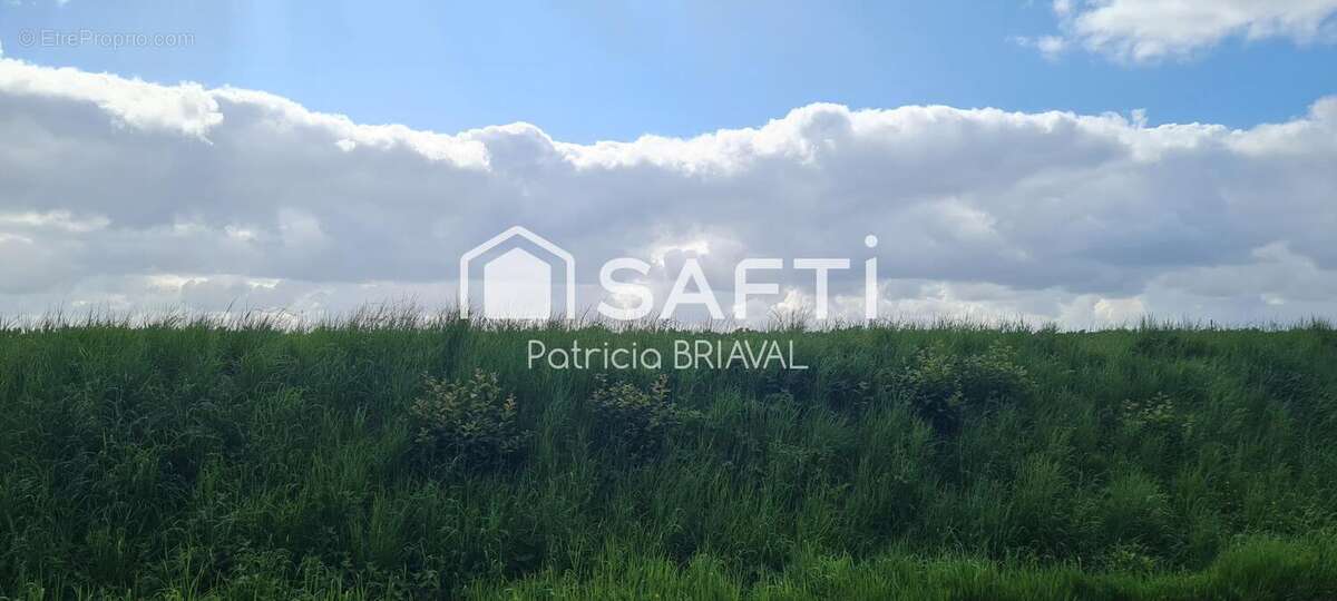 Terrain 920 m² à Hermaville  - photo 5