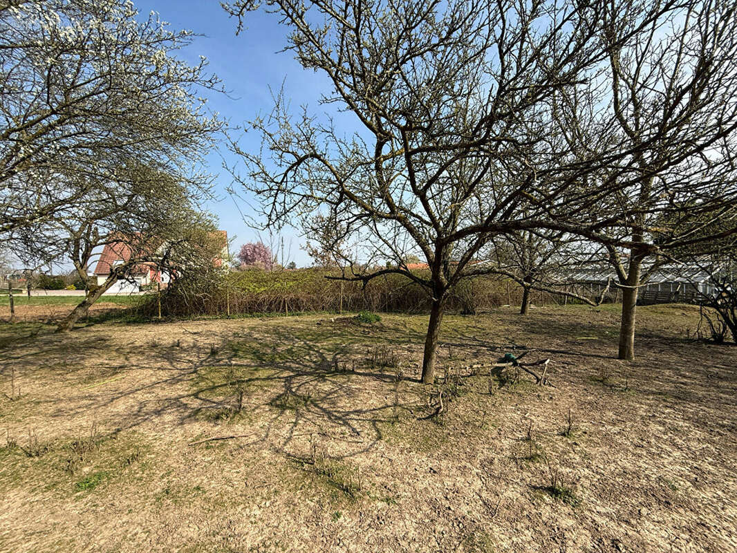 Terrain à HANDSCHUHEIM