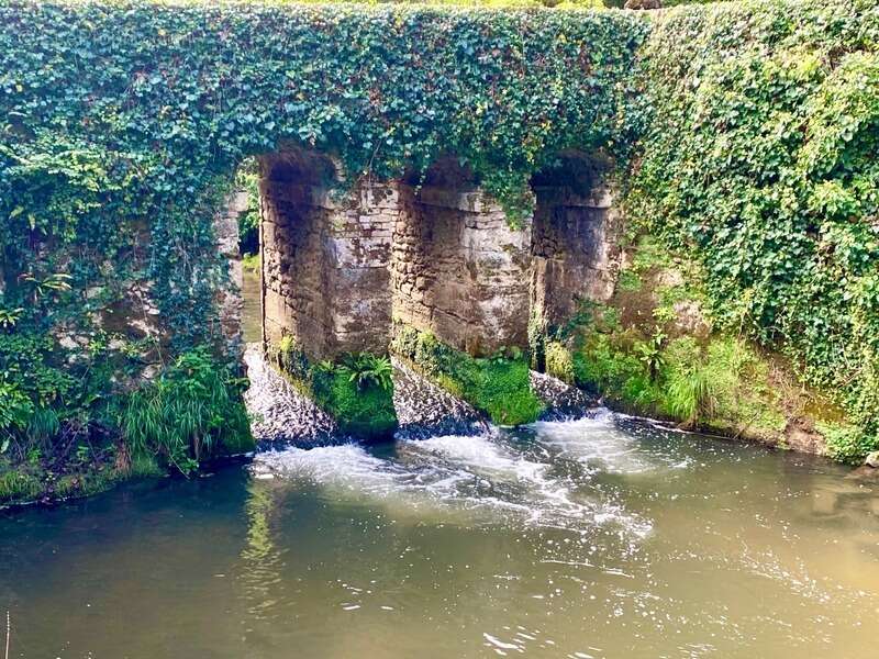 Magnifique Moulin rénové en totalité (DPE D) avec gîte indépendant sur terrain de 3,5HA arboré sans vis à vis BOUGUE (40) - photo 13