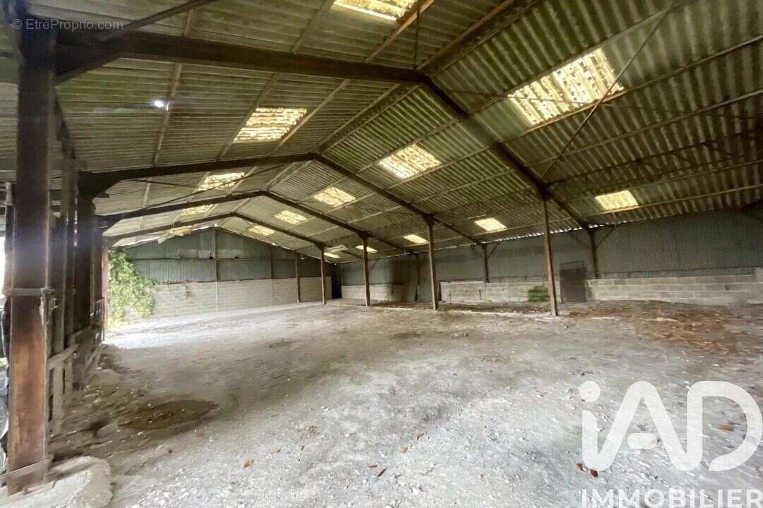 Photo 2 - Terrain à CAMON