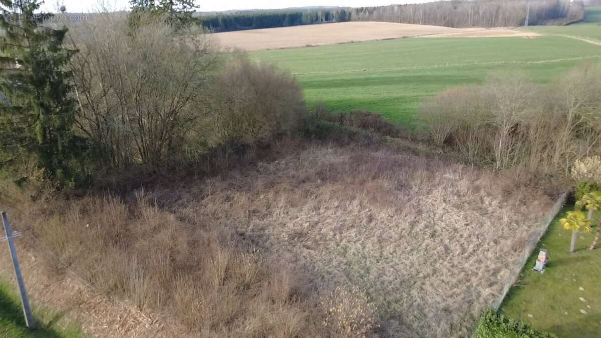 Terrain à SACHY
