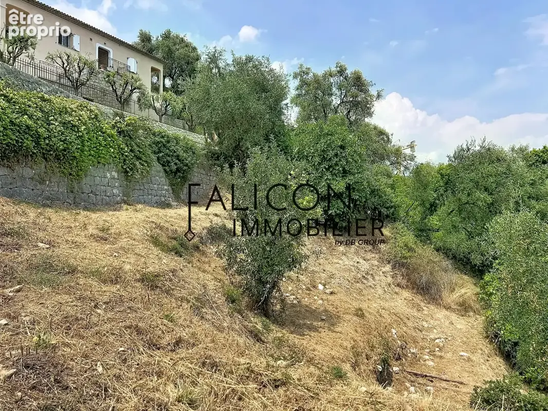 Falicon – Terrain constructible de 1 911 m² avec permis purgé pour une villa contemporaine - photo 6