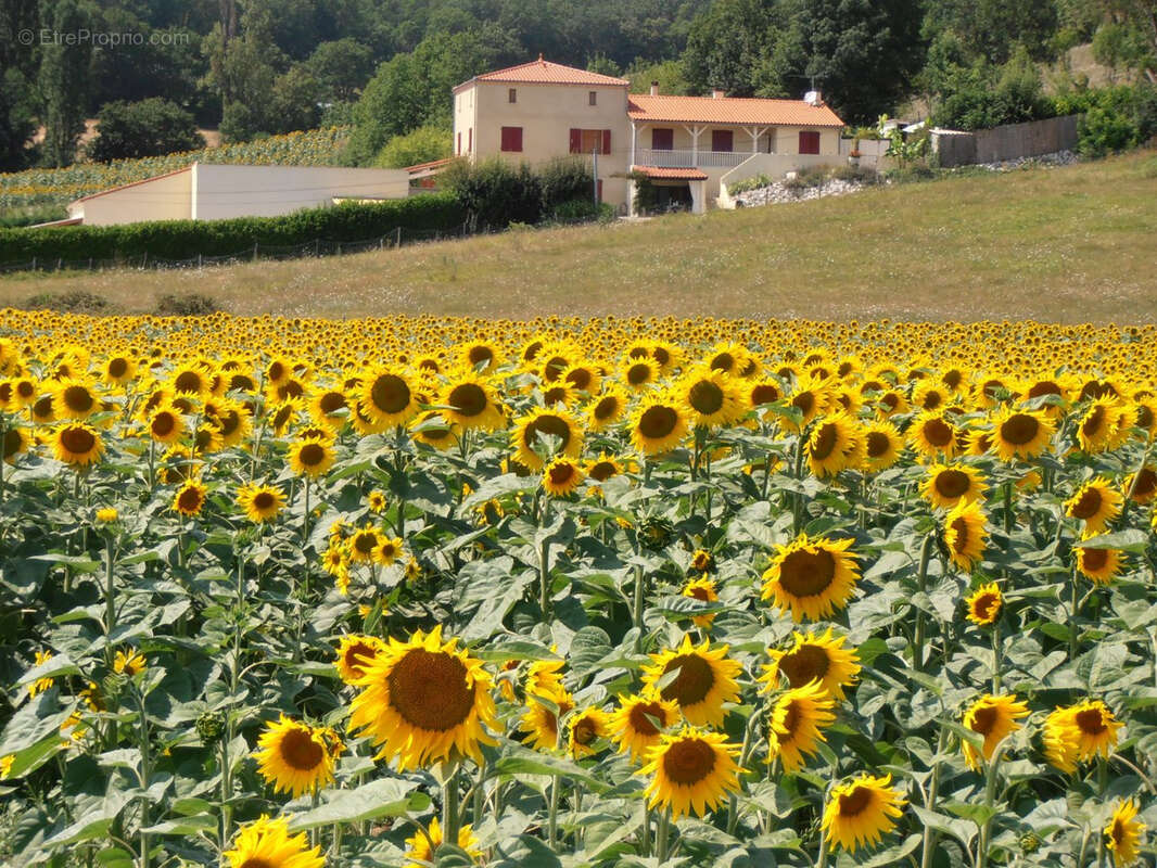 Maison à CAZES-MONDENARD