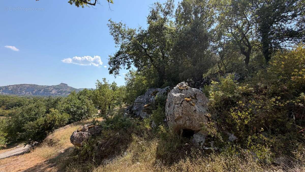 Terrain À Vendre 1500 m² - photo 3