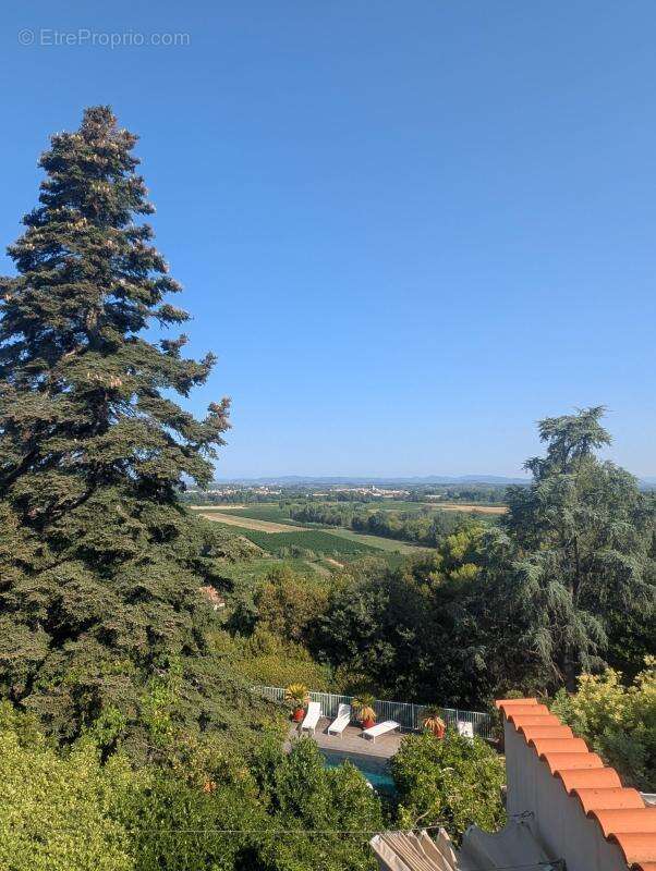 Propriété d'exception aux portes de Pézenas – Charme, volumes et panorama exceptionnel - photo 11