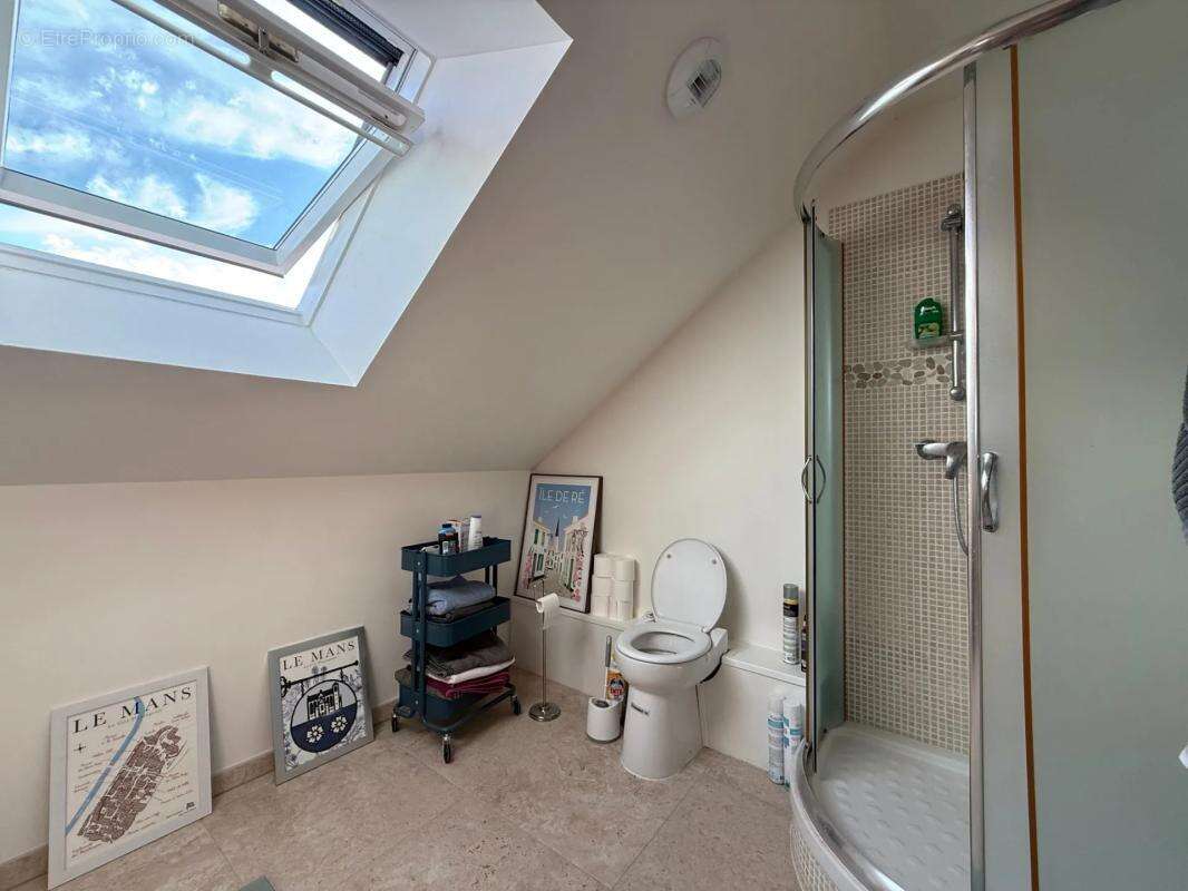 Maison de 8 pièces de 240 m² à Sainte-Maure-de-Touraine - photo 7