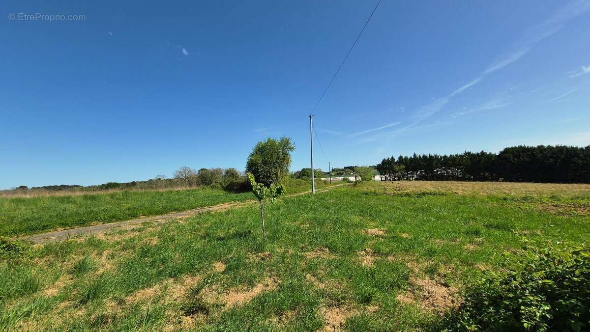Maison à SAINTE-ALVERE