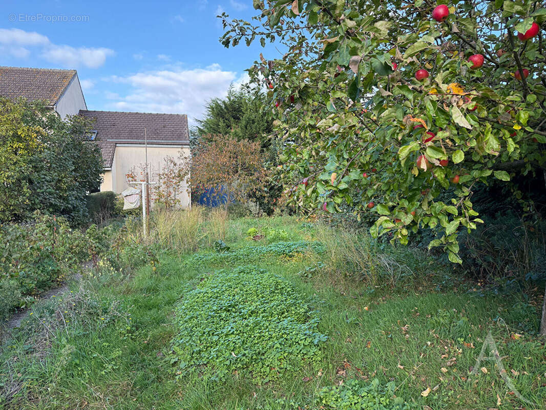 Maison à COLOMBELLES