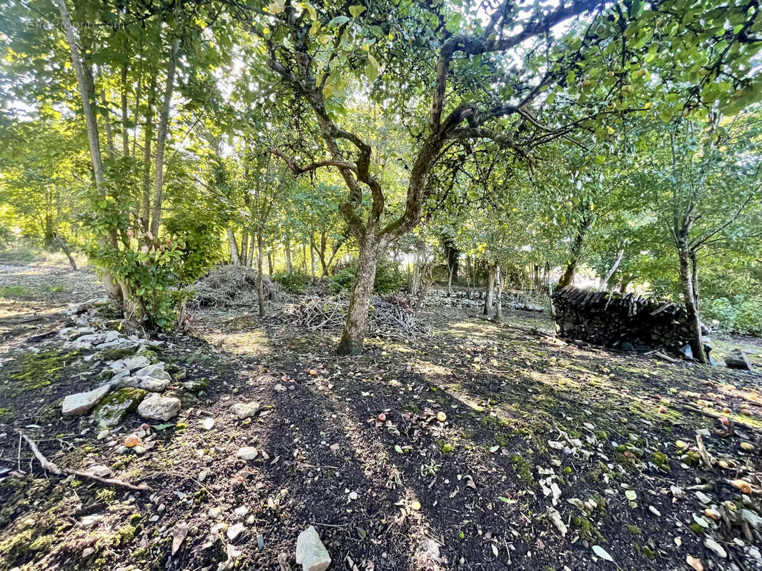 Maison à MONTIERS-SUR-SAULX