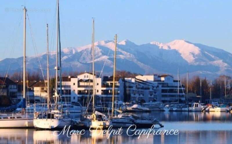 Commerce à SAINT-CYPRIEN