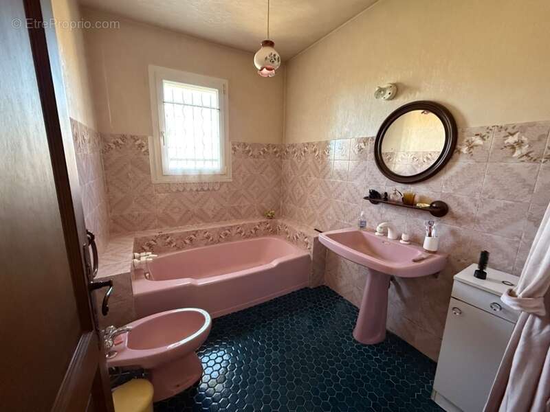 Maison à ALTHEN-DES-PALUDS