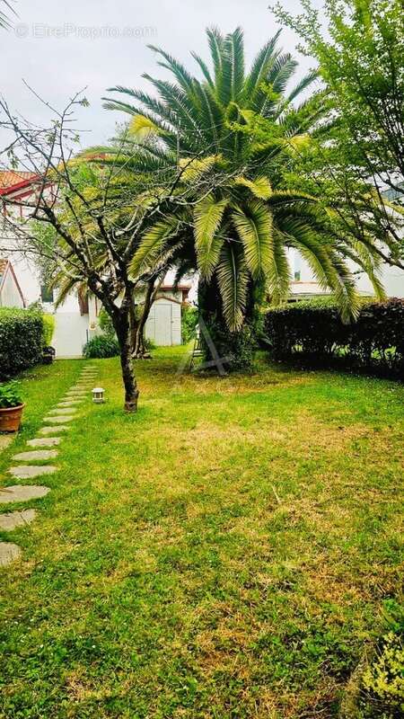 Appartement à CIBOURE