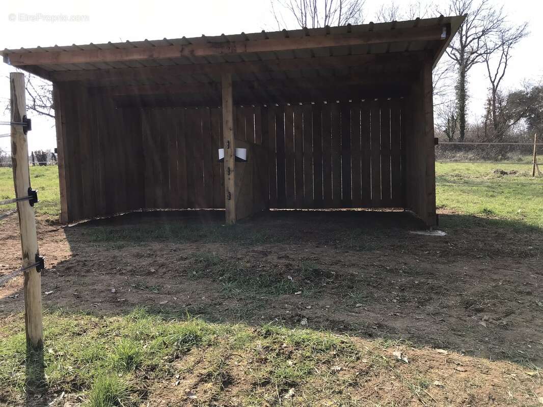 Maison à CHATEAUNEUF-SUR-CHARENTE