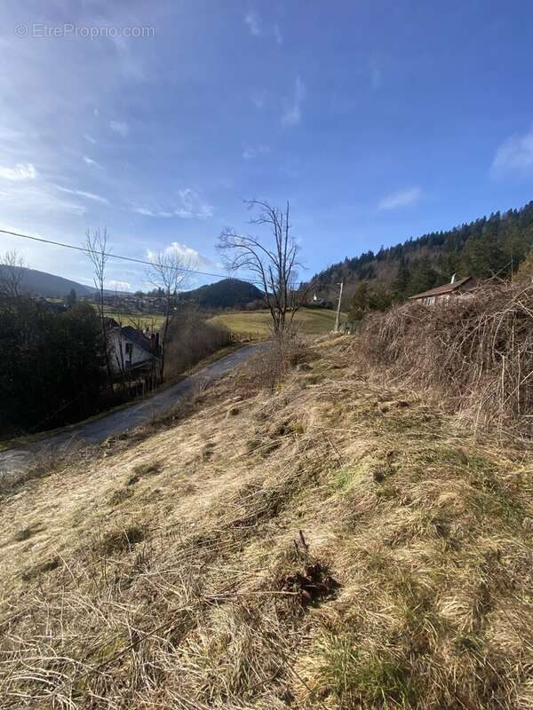 Terrain à GRAND&#039;COMBE-CHATELEU