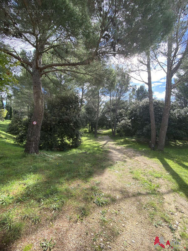 PARC - Appartement à VILLENEUVE-LES-AVIGNON